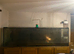 1200L fish tank - with accessories - will be fully cleaned/emptied