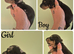 PRA CLEAR MINIATURE DACHSHUND PUPPIES