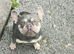 Female 3year old