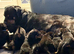 9 beautiful babies