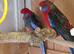 Pair pennants