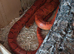 Beautiful corn snake