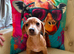 Jack Russell x dachshund