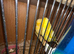 Breeding pair canaries for sell