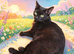 Beautiful Tabby Brown/Black kittens