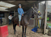 Tb 5 year old gelding ror