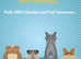 Barker doggie day care and walking services