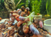 aquatic ramshorn snails x100, mixed sizes, free next day delivery