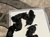 6 Pure breed pedigree puppies