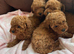 Tiny Toy poodles