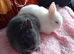 2 baby sisters