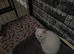 4 beautiful Persian kittens, ready now