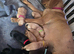 6 little bundles of joy remain