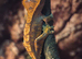2 crested geckos