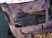 Beautiful dog bed