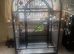 Very Large Parrot Cage
