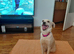 LILY – The Little Girl Who Believes Everyone Could Be Her Best Friend