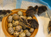 Baby quails