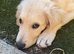 Beautiful boy looking for new home