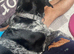 He is mainly American Coonhound, German Shorthaired Pointer and Springer Spaniel