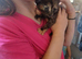 Kittens ready to leave