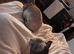 Sphynx kittens Ready for New home in Wisbech
