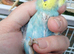 Pair of baby hens