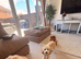 Beautiful 9 month old female cavapoochon for sale