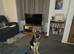 16 month old loving girl