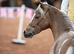 American miniature horse