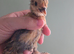 Millefleur Belgium Barbu D'uccle chicks