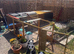 1 laying chicken and chicken coop and run