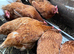 Laying hens