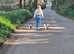 Maples mates-dog walking service