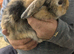 20 Week Old Mini Lop Bunnies