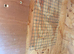 Ring neck nesting box