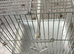 Carry/mule cage