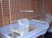 Ornamental house cages and indoor Aviary