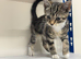 Kitten Female tabby