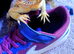Bearded dragon with viv