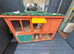 Rabbits x2 male and female + cage