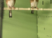 Goldfinch Cheve Parva size