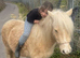 Palomino gelding