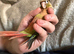Super Tame Parrot Conure Baby For Sale