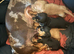 Litter of Miniature Dachshunds
