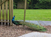 Indian blue black shouldered peacock pair
