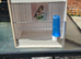 Plastic carrier cage