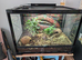 Prorep terrarium