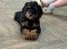 Special little girl looking for forever home