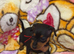 5 beautiful miniature pinches